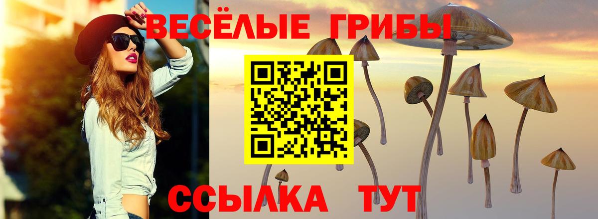 Балтийск  Псилоцибиновые грибы Magic Shrooms  Вход с VPN 